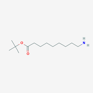 molecular formula C13H27NO2 B3099021 Tert-butyl 9-aminononanoate CAS No. 134857-22-0