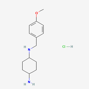 molecular formula C14H23ClN2O B3099481 N1-(4-Methoxybenzyl)cyclohexane-1,4-diamine hydrochloride CAS No. 1353984-43-6