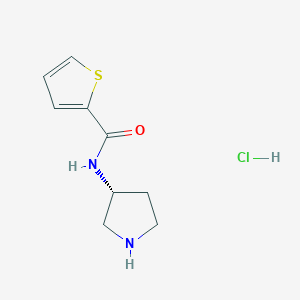 (R)-N-(Pyrrolidin-3-yl)thiophene-2-carboxamide hydrochloride