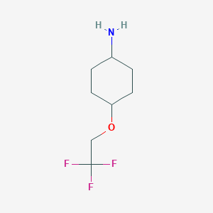 molecular formula C8H14F3NO B3100315 4-(2,2,2-Trifluoroethoxy)cyclohexan-1-amine CAS No. 1367422-16-9