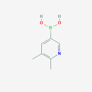 molecular formula C7H10BNO2 B3100502 (5,6-二甲基吡啶-3-基)硼酸 CAS No. 1370042-41-3