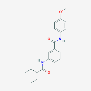 molecular formula C20H24N2O3 B310099 3-[(2-ethylbutanoyl)amino]-N-(4-methoxyphenyl)benzamide 