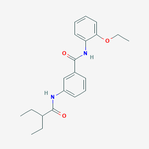 molecular formula C21H26N2O3 B310100 N-(2-ethoxyphenyl)-3-[(2-ethylbutanoyl)amino]benzamide 