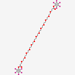 molecular formula C42H56F10O17 B3101053 Bis-PEG13-PFP ester CAS No. 1383567-59-6