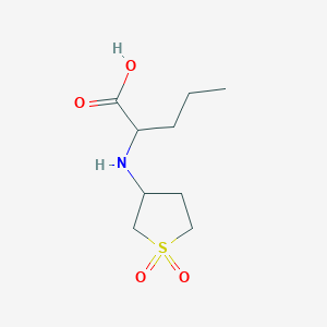2-[(1,1-Dioxothiolan-3-yl)amino]pentanoic acid