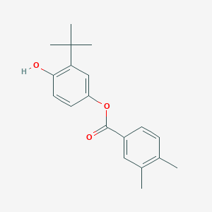 molecular formula C19H22O3 B310238 3-Tert-butyl-4-hydroxyphenyl3,4-dimethylbenzoate 