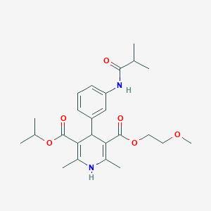 molecular formula C25H34N2O6 B310263 3-Isopropyl 5-(2-methoxyethyl) 4-[3-(isobutyrylamino)phenyl]-2,6-dimethyl-1,4-dihydro-3,5-pyridinedicarboxylate 