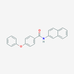 molecular formula C23H17NO2 B310345 N-(2-naphthyl)-4-phenoxybenzamide 