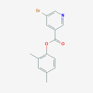 molecular formula C14H12BrNO2 B310365 2,4-Dimethylphenyl 5-bromonicotinate 