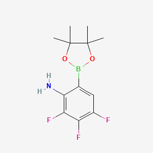 molecular formula C12H15BF3NO2 B3103851 2,3,4-Trifluoro-6-(4,4,5,5-tetramethyl-1,3,2-dioxaborolan-2-yl)aniline CAS No. 1451391-20-0