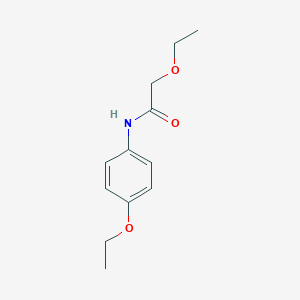 molecular formula C12H17NO3 B310388 2-ethoxy-N-(4-ethoxyphenyl)acetamide 