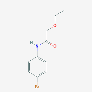 molecular formula C10H12BrNO2 B310401 N-(4-bromophenyl)-2-ethoxyacetamide 