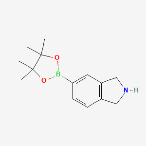 molecular formula C14H20BNO2 B3104627 5-(4,4,5,5-Tetramethyl-1,3,2-dioxaborolan-2-YL)isoindoline CAS No. 1491162-09-4