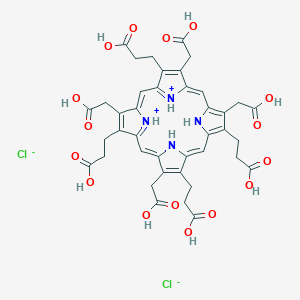 molecular formula C40H40Cl2N4O16 B3104954 Uroporphyrin III dihydrochloride CAS No. 150957-29-2