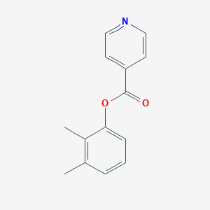 molecular formula C14H13NO2 B310534 2,3-Dimethylphenyl isonicotinate 