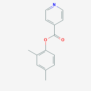molecular formula C14H13NO2 B310646 2,4-Dimethylphenyl isonicotinate 