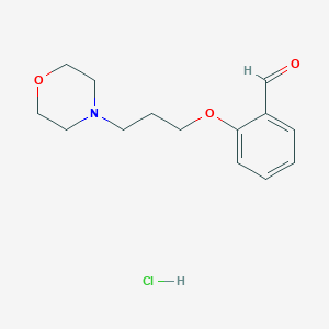 molecular formula C14H20ClNO3 B3106911 2-[3-(4-Morpholinyl)propoxy]benzaldehyde hydrochloride CAS No. 1609395-26-7