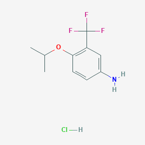 molecular formula C10H13ClF3NO B3107030 [4-Isopropoxy-3-(trifluoromethyl)phenyl]amine hydrochloride CAS No. 1609400-21-6