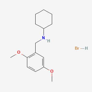 molecular formula C15H24BrNO2 B3107156 N-(2,5-dimethoxybenzyl)cyclohexanamine hydrobromide CAS No. 1609403-78-2
