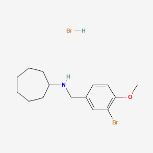 molecular formula C15H23Br2NO B3107421 N-(3-bromo-4-methoxybenzyl)cycloheptanamine hydrobromide CAS No. 1609408-84-5