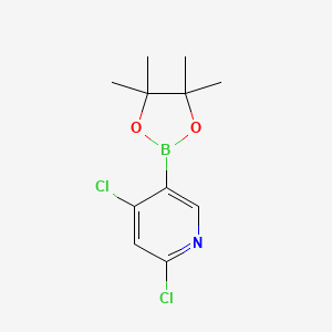 molecular formula C11H14BCl2NO2 B3107768 2,4-Dichloropyridine-5-boronic acid pinacol ester CAS No. 1622217-00-8