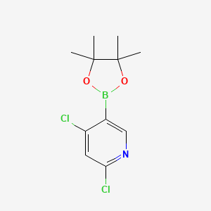 molecular formula C11H14BCl2NO2 B3107768 2,4-二氯吡啶-5-硼酸品红酯 CAS No. 1622217-00-8