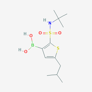 (2-(N-(tert-Butyl)sulfamoyl)-5-isobutylthiophen-3-yl)boronic acid