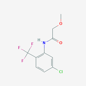 molecular formula C10H9ClF3NO2 B310816 N-[5-chloro-2-(trifluoromethyl)phenyl]-2-methoxyacetamide 