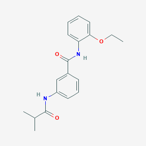 N-(2-ethoxyphenyl)-3-(isobutyrylamino)benzamide