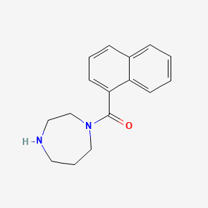 molecular formula C16H18N2O B3108933 1-(Naphthalene-1-carbonyl)-1,4-diazepane CAS No. 169448-77-5