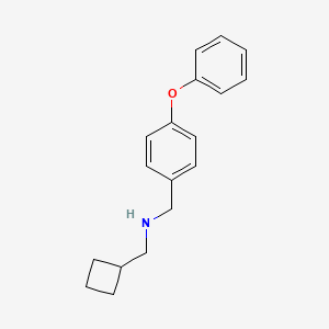 molecular formula C18H21NO B3109038 1-Cyclobutyl-N-[(4-phenoxyphenyl)methyl]methanamine CAS No. 169943-58-2