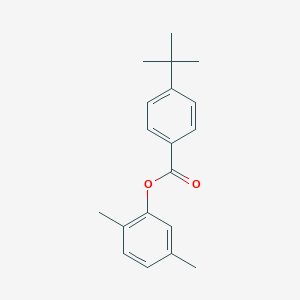molecular formula C19H22O2 B310929 2,5-Dimethylphenyl 4-tert-butylbenzoate 