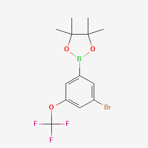 molecular formula C13H15BBrF3O3 B3110434 3-Bromo-5-(trifluoromethoxy)phenylboronic acid pinacol ester CAS No. 1799485-18-9