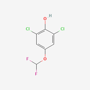 molecular formula C7H4Cl2F2O2 B3110709 2,6-Dichloro-4-(difluoromethoxy)phenol CAS No. 1805125-63-6