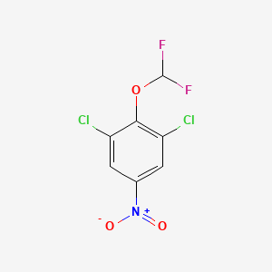 molecular formula C7H3Cl2F2NO3 B3110817 1,3-Dichloro-2-difluoromethoxy-5-nitrobenzene CAS No. 1806351-69-8