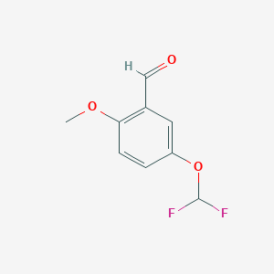molecular formula C9H8F2O3 B3110832 5-Difluoromethoxy-2-methoxybenzaldehyde CAS No. 1806377-15-0