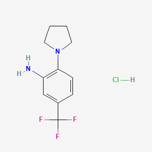 molecular formula C11H14ClF3N2 B3111170 2-Pyrrolidin-1-yl-5-(trifluoromethyl)aniline;hydrochloride CAS No. 1820650-27-8