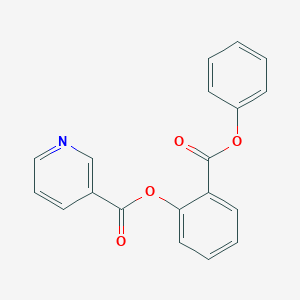 molecular formula C19H13NO4 B311280 2-(Phenoxycarbonyl)phenyl nicotinate 