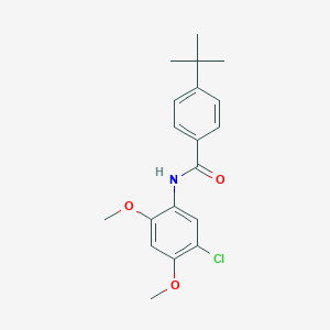 molecular formula C19H22ClNO3 B311337 4-tert-butyl-N-(5-chloro-2,4-dimethoxyphenyl)benzamide 