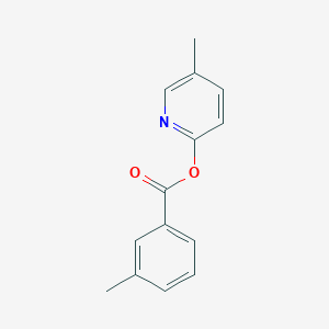 molecular formula C14H13NO2 B311373 5-Methyl-2-pyridinyl 3-methylbenzoate 