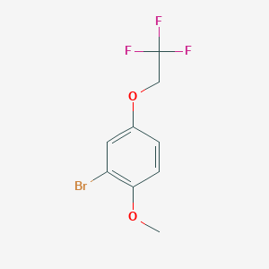 molecular formula C9H8BrF3O2 B3114357 Benzene, 2-bromo-1-methoxy-4-(2,2,2-trifluoroethoxy)- CAS No. 200956-22-5