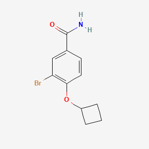 molecular formula C11H12BrNO2 B3114376 3-Bromo-4-(cyclobutyloxy)benzenecarboxamide CAS No. 200956-59-8
