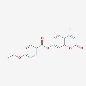molecular formula C19H16O5 B311458 4-methyl-2-oxo-2H-chromen-7-yl 4-ethoxybenzoate 