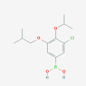 molecular formula C13H20BClO4 B3115430 3-Chloro-4-isopropoxy-5-isobutoxyphenylboronic acid CAS No. 2096339-27-2