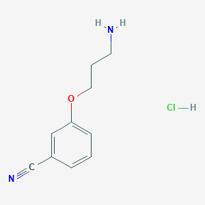 molecular formula C10H13ClN2O B3115730 3-(3-Aminopropoxy)benzonitrile hydrochloride CAS No. 210963-17-0