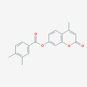 molecular formula C19H16O4 B311579 4-methyl-2-oxo-2H-chromen-7-yl 3,4-dimethylbenzoate 