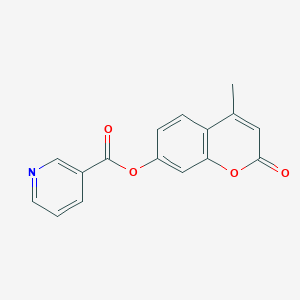 molecular formula C16H11NO4 B311582 4-methyl-2-oxo-2H-chromen-7-yl nicotinate 