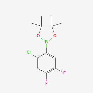 molecular formula C12H14BClF2O2 B3115863 2-氯-4,5-二氟苯基硼酸二茂环己酯 CAS No. 2121514-02-9