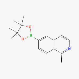 molecular formula C16H20BNO2 B3117416 1-Methyl-6-(4,4,5,5-tetramethyl-1,3,2-dioxaborolan-2-YL)isoquinoline CAS No. 2230701-73-0