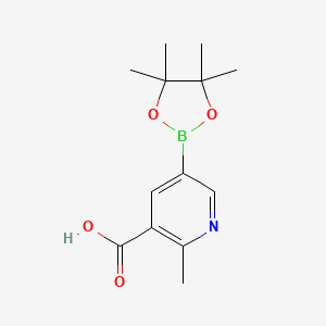 molecular formula C13H18BNO4 B3117941 2-甲基-5-(4,4,5,5-四甲基-1,3,2-二氧杂硼烷-2-基)烟酸 CAS No. 2291165-16-5